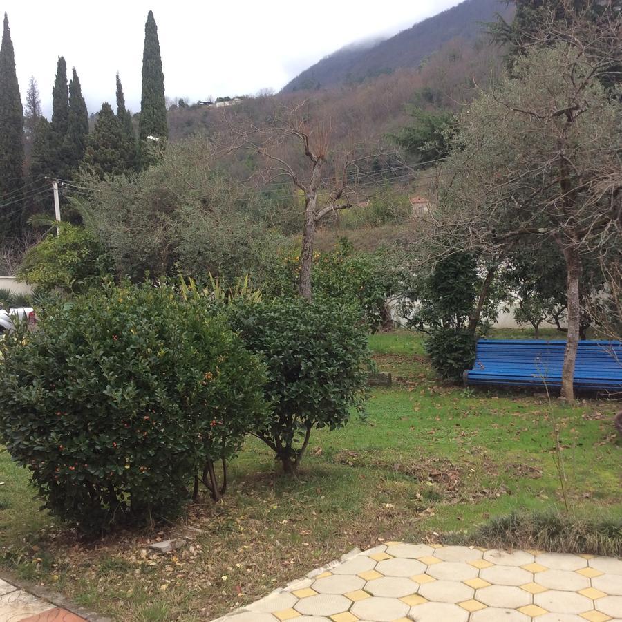 Guest House Dali Gagra Exteriér fotografie
