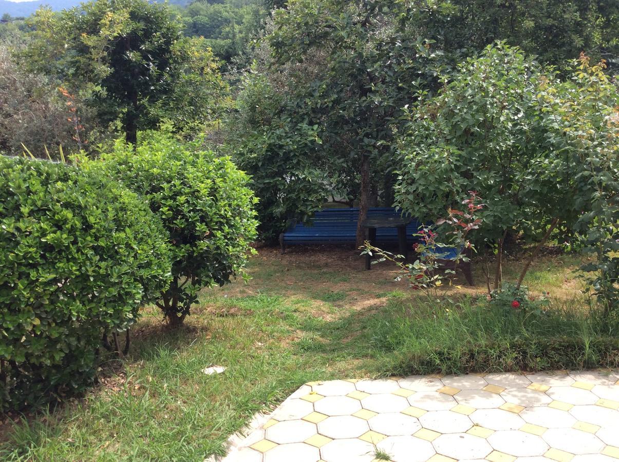 Guest House Dali Gagra Exteriér fotografie
